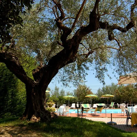 Parco Degli Ulivi 4* Scerne