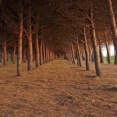 Parco Degli Ulivi 4*