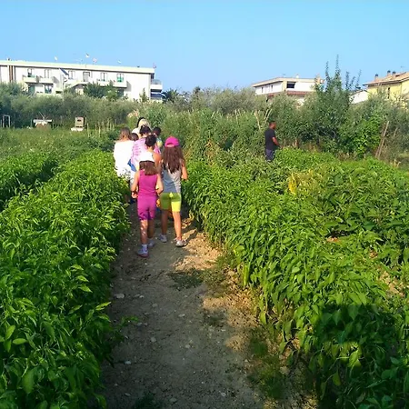 Parco Degli Ulivi 4* Scerne