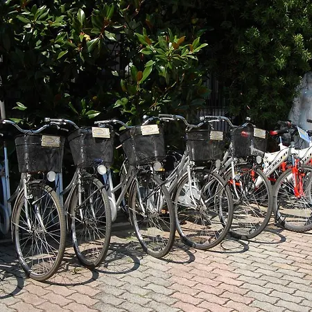 Hotel Parco Degli Ulivi 4*