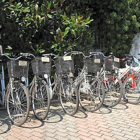 Hotel Parco Degli Ulivi 4*