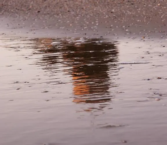 Parco Degli Ulivi Hotel Scerne