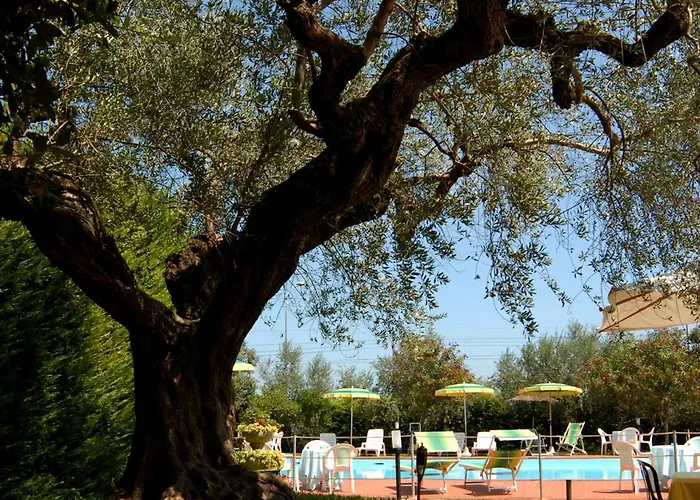 Parco Degli Ulivi 4* Scerne