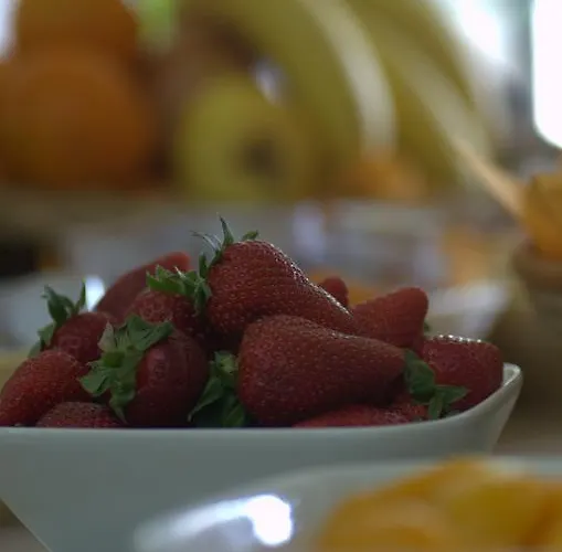 Parco Degli Ulivi Scerne