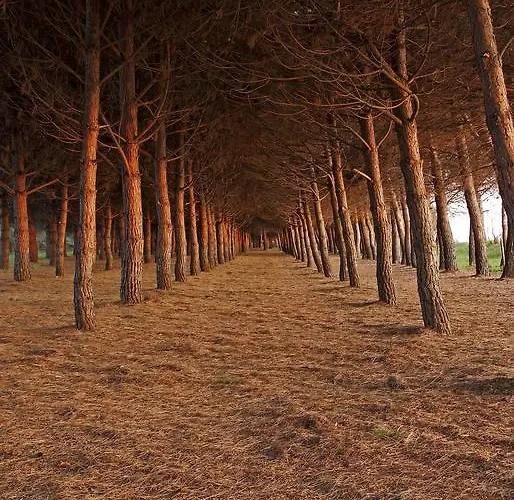 Parco Degli Ulivi 4*