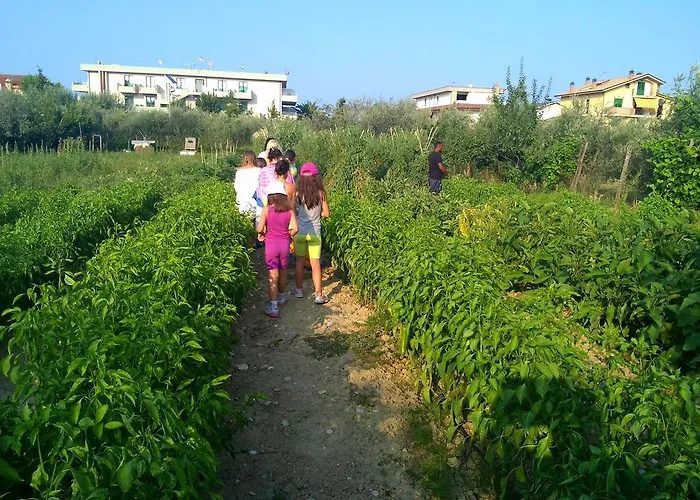 Parco Degli Ulivi 4* Scerne